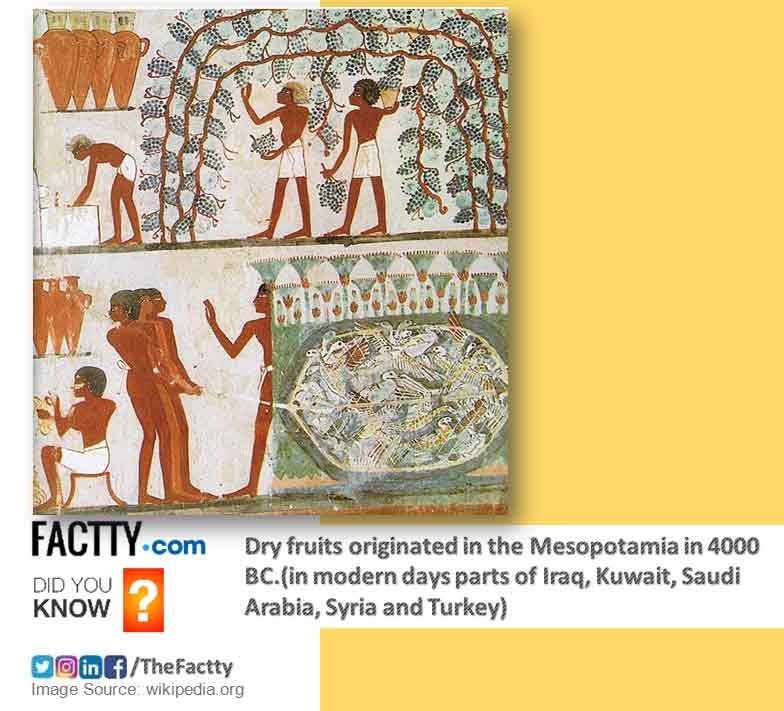 people of Mesopotamia discovered dry fruits around 6000 years ago