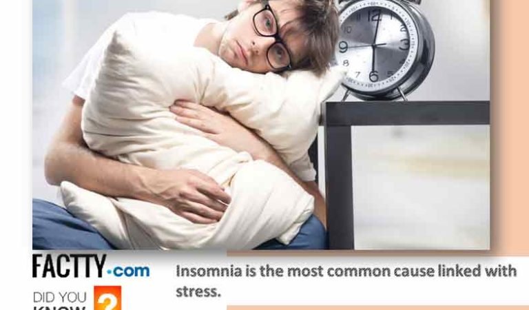 10 Shocking Facts About Insomnia/ Sleeplessness and Impact on Human Body