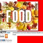 15 Random Fun Facts About Human Health and Food