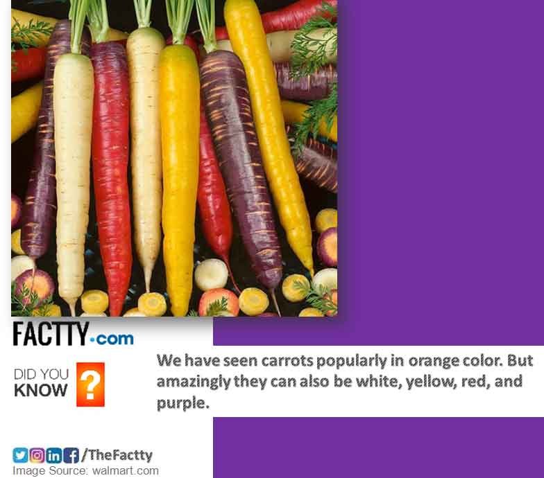 carrot orange, white carrots, yellow carrots, red carrots, and purple carrots, red carrots